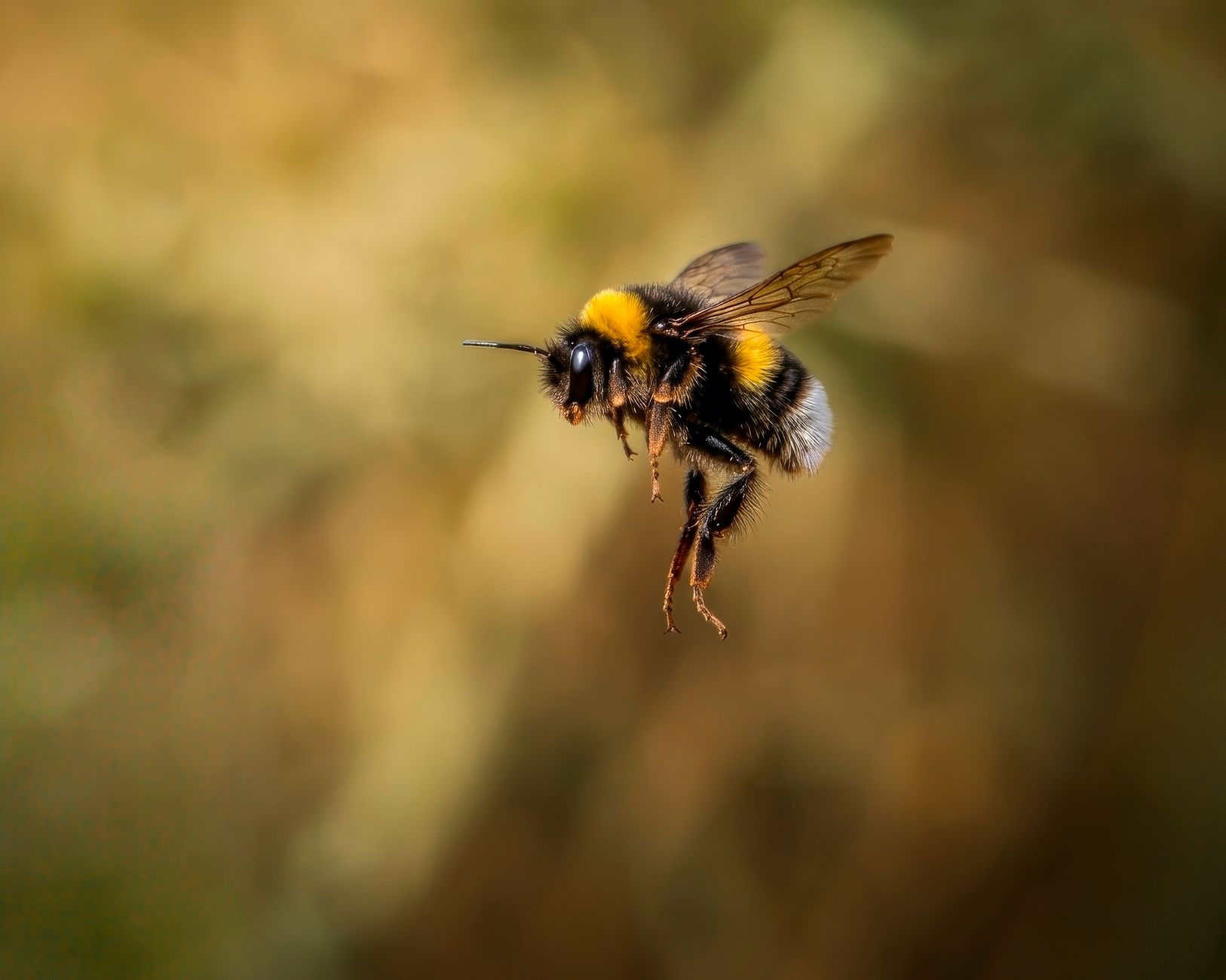 Buzzing stocks today: What are the worst market movers?